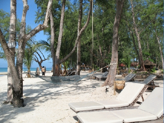 IMG_3888.jpg