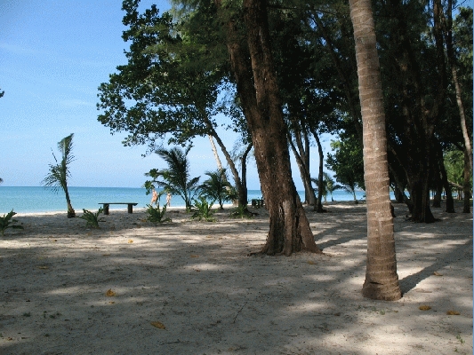 IMG_3890.jpg