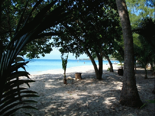 IMG_3896.jpg