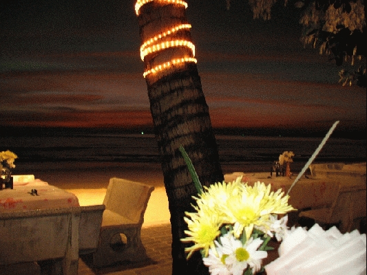 IMG_3909.jpg