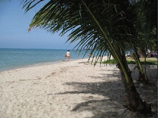 IMG_4052.jpg