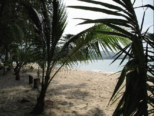 IMG_4056.jpg
