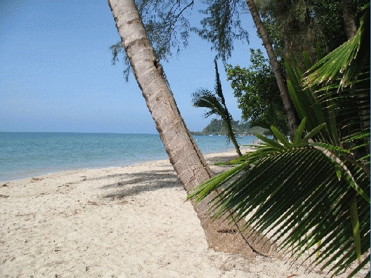 IMG_4058.jpg