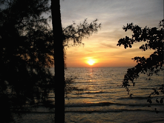 IMG_4072.jpg