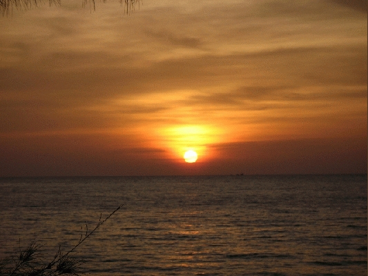 IMG_4075.jpg