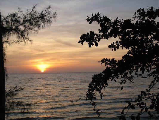 IMG_4078.jpg