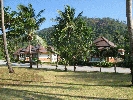 IMG_3829.jpg