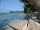 IMG_3833.jpg