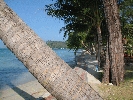 IMG_3834.jpg