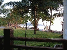 IMG_3845.jpg