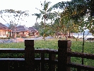 IMG_3846.jpg