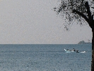 IMG_3851.jpg