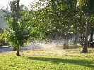 IMG_3852.jpg