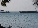 IMG_3855.jpg