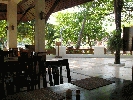 IMG_3856.jpg