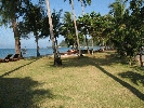 IMG_3858.jpg