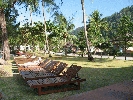 IMG_3860.jpg