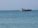IMG_3861.jpg
