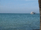 IMG_3863.jpg