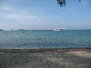 IMG_3864.jpg