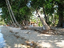 IMG_3876.jpg