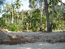 IMG_3877.jpg