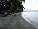 IMG_3879.jpg