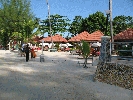 IMG_3880.jpg