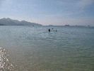 IMG_3886.jpg