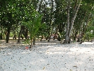 IMG_3887.jpg
