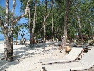 IMG_3888.jpg