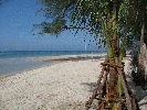 IMG_3889.jpg