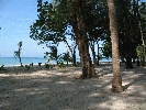 IMG_3890.jpg