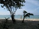 IMG_3891.jpg