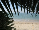 IMG_3892.jpg