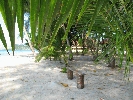 IMG_3893.jpg