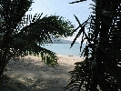 IMG_3895.jpg