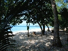 IMG_3896.jpg