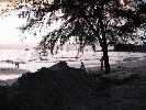 IMG_3917.jpg