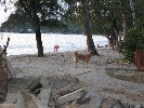 IMG_3991.jpg