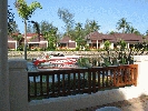 IMG_4047.jpg