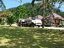 IMG_4051.jpg