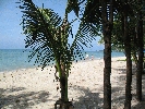 IMG_4053.jpg