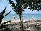IMG_4054.jpg