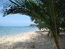 IMG_4055.jpg