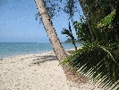 IMG_4058.jpg