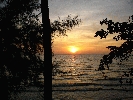 IMG_4072.jpg