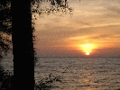 IMG_4077.jpg