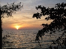 IMG_4078.jpg