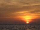 IMG_4079.jpg
